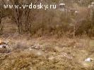Лысая гора улица Продам участок в Сочи недорого возле центра города и моря Лысая гора улица Продам участок в Сочи недорого возле центра города и моря